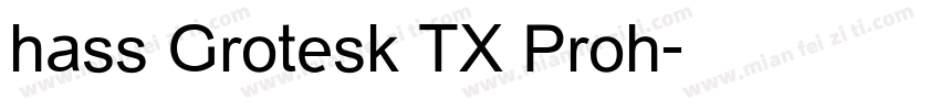 hass Grotesk TX Proh字体转换